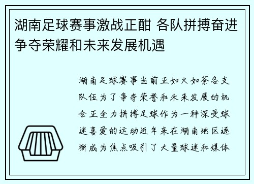 湖南足球赛事激战正酣 各队拼搏奋进争夺荣耀和未来发展机遇