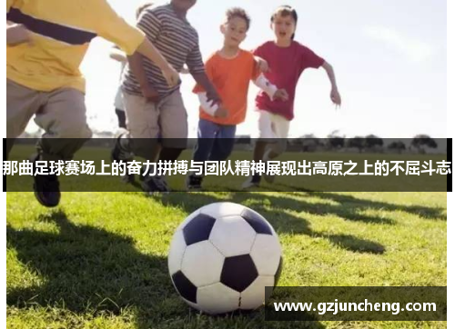 那曲足球赛场上的奋力拼搏与团队精神展现出高原之上的不屈斗志